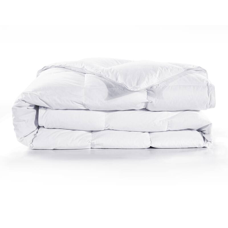 HiEnd Accents Down Duvet Insert
