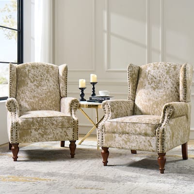 Ivan Traditional Animal Pattern Armchair with Nailhead Trim Set of 2by HULALA HOME