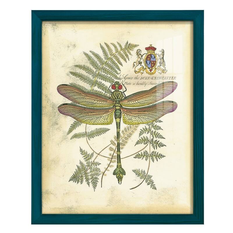 Regal Dragonfly III (PP) -Framed Print w/glass-Cherry Red - 12x15 - Blue