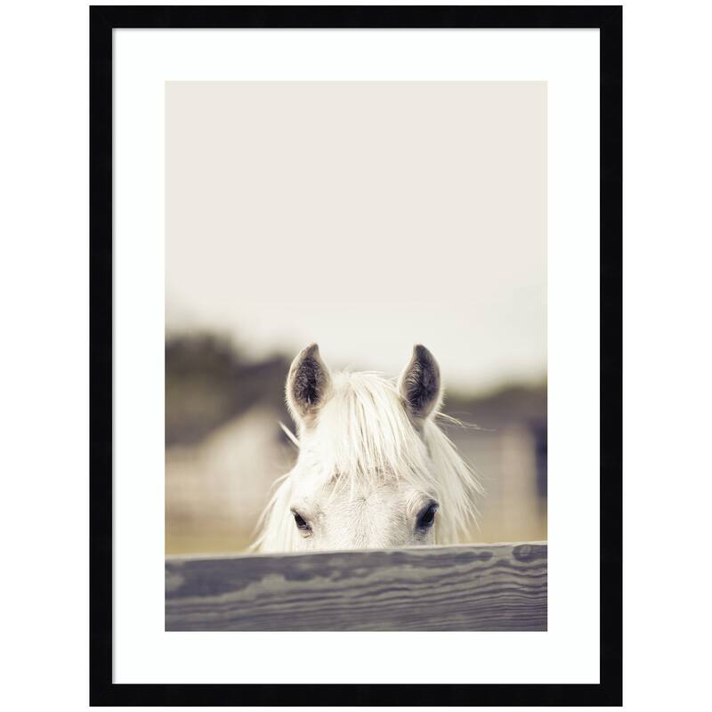 Kate and Laurel Equine Crop by Robert Cadloff Framed Wall Art Print - 19 x 25 - Black