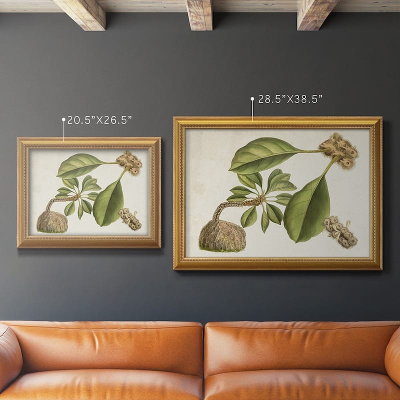 Tropical Foliage & Fruit V Premium Framed Canvas- Ready to Hang