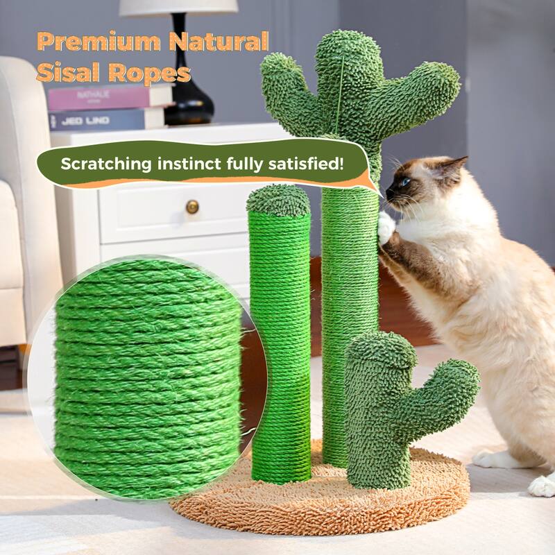 Oasis Series Lovely Cactus Cat Scratcher