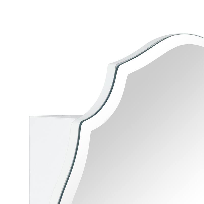TEHOME Frameless Irregular Oval Medicine Cabinet Mirror with Adjustable Shelves