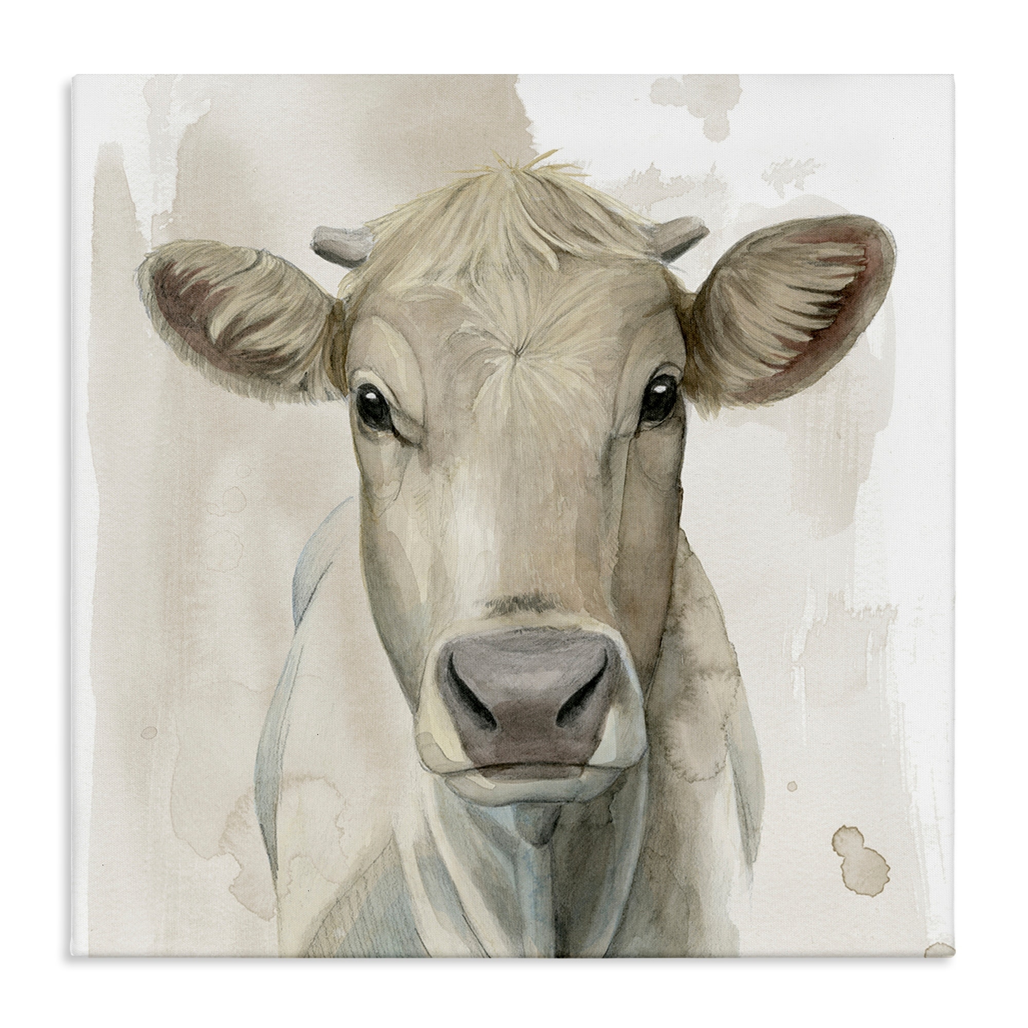 Stupell Monochrome Cattle Face Portrait Canvas Wall Art Design By Grace Popp
