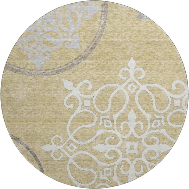 Premium Washable Super Soft Transitional Scroll Mayfield Rug
