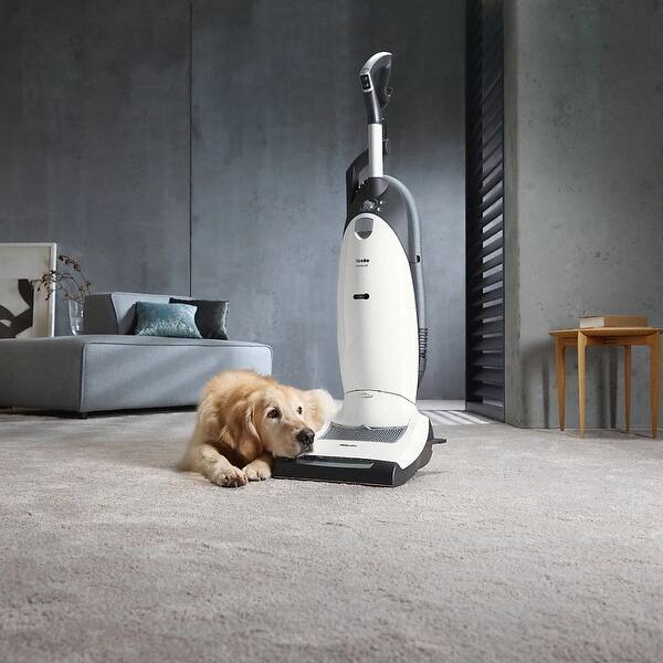 Shop Miele Dynamic U1 Cat And Dog Active Air Clean Upright Vacuum