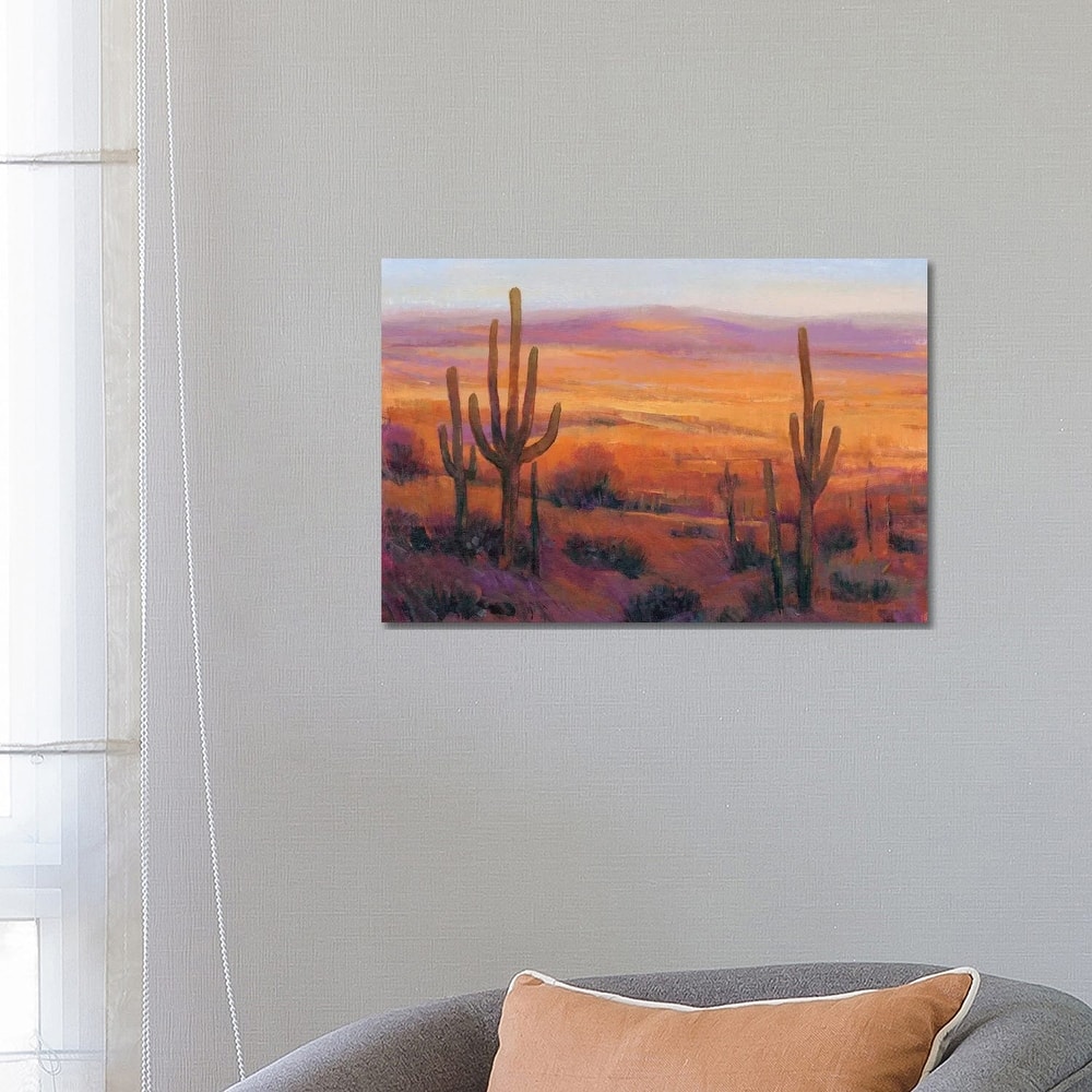 iCanvas "Desert Light II" by Tim OToole Canvas Print