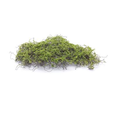 Moss Square (Set of 12)