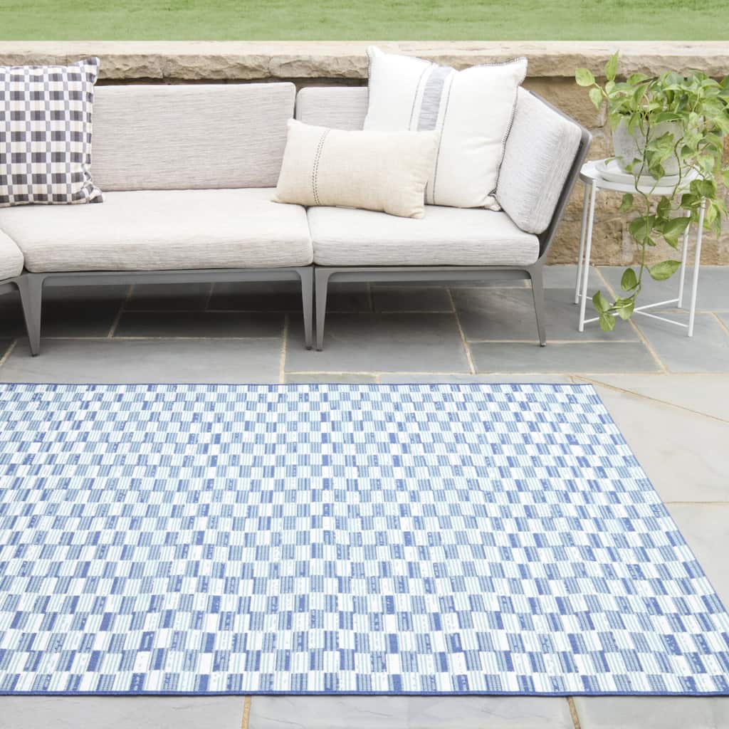 Joan Checkered Indoor/Outdoor Area Rug