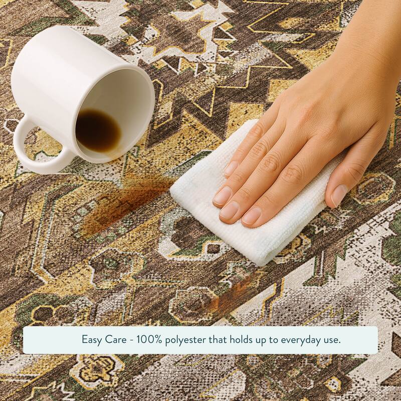 Machine Washable Indoor/ Outdoor Traditional Hudson Chantille Rug