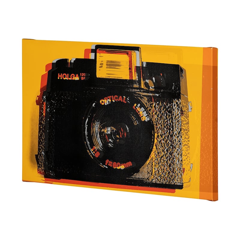 Holga Hue (45 x 30) Canvas Art Print