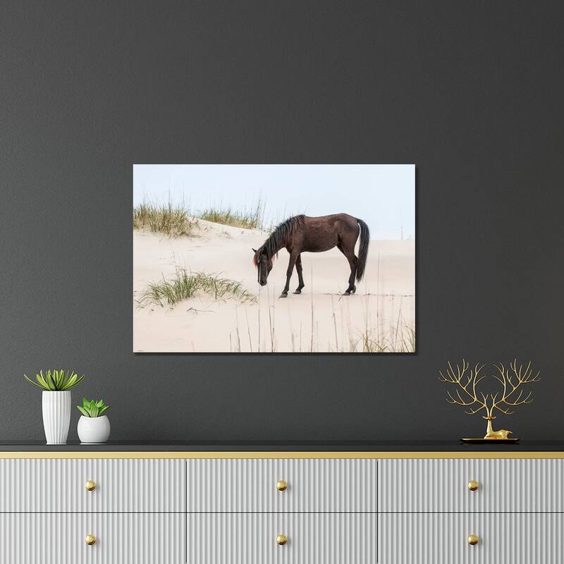 Lone Banker Horse On The Beach, Outer Banks, North Carolina, USA Print On Acrylic Glass by Michael DeFreitas