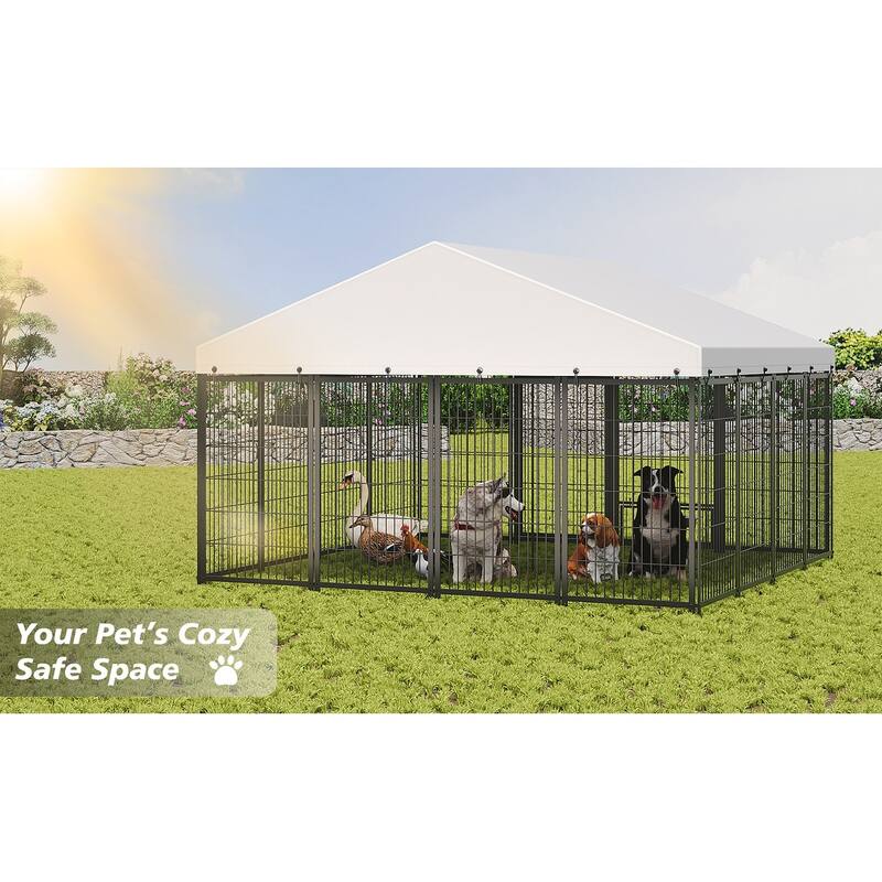 GDF Studio - Rockwell Extra Large Outdoor Dog Kennel with Roof Cover & Feeding System