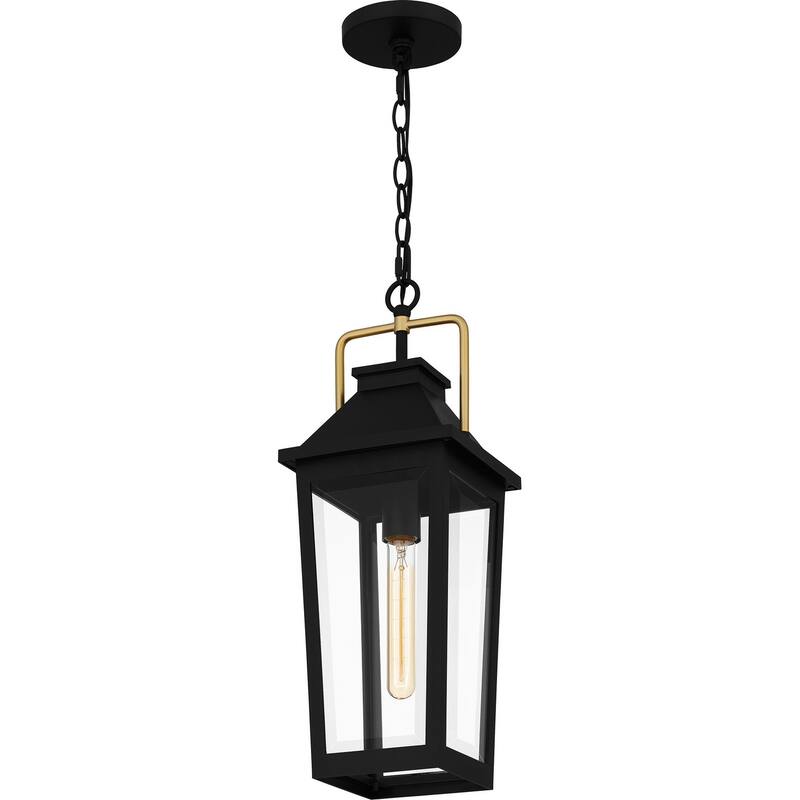 Buckley 1-Light Outdoor Hanging Lantern in Matte Black