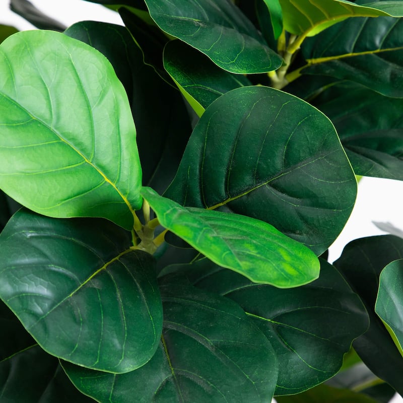 Grand Fiddle Leaf Artificial Potted Tree - 6'
