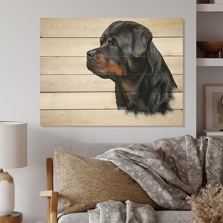 Designart Drawing Of The Dog Rottweiler Traditional Wood Wall Art Natural Pine Wood Bed Bath Beyond 36734950