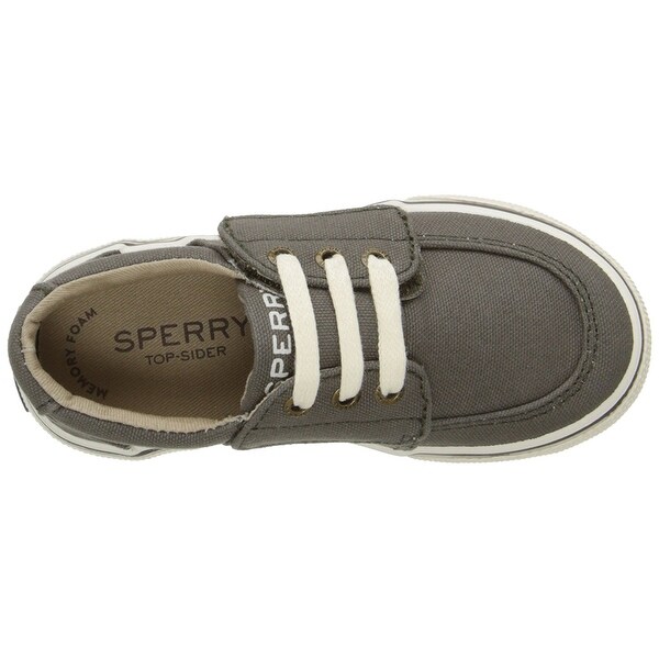 sperry ollie