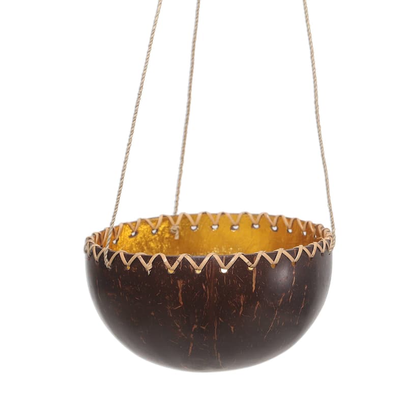 NOVICA Clean Environment, Coconut shell hanging planter