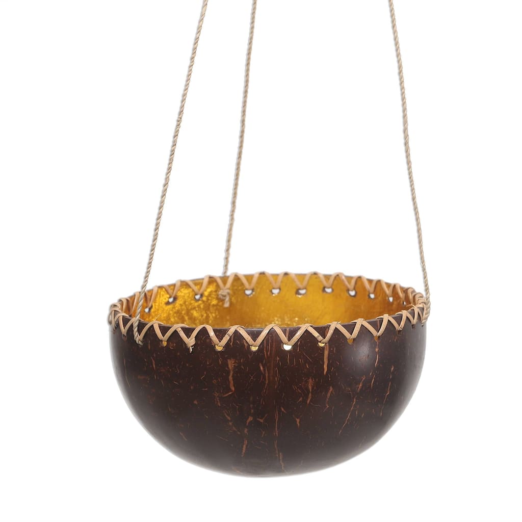 NOVICA Clean Environment, Coconut shell hanging planter
