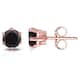 Option Rose