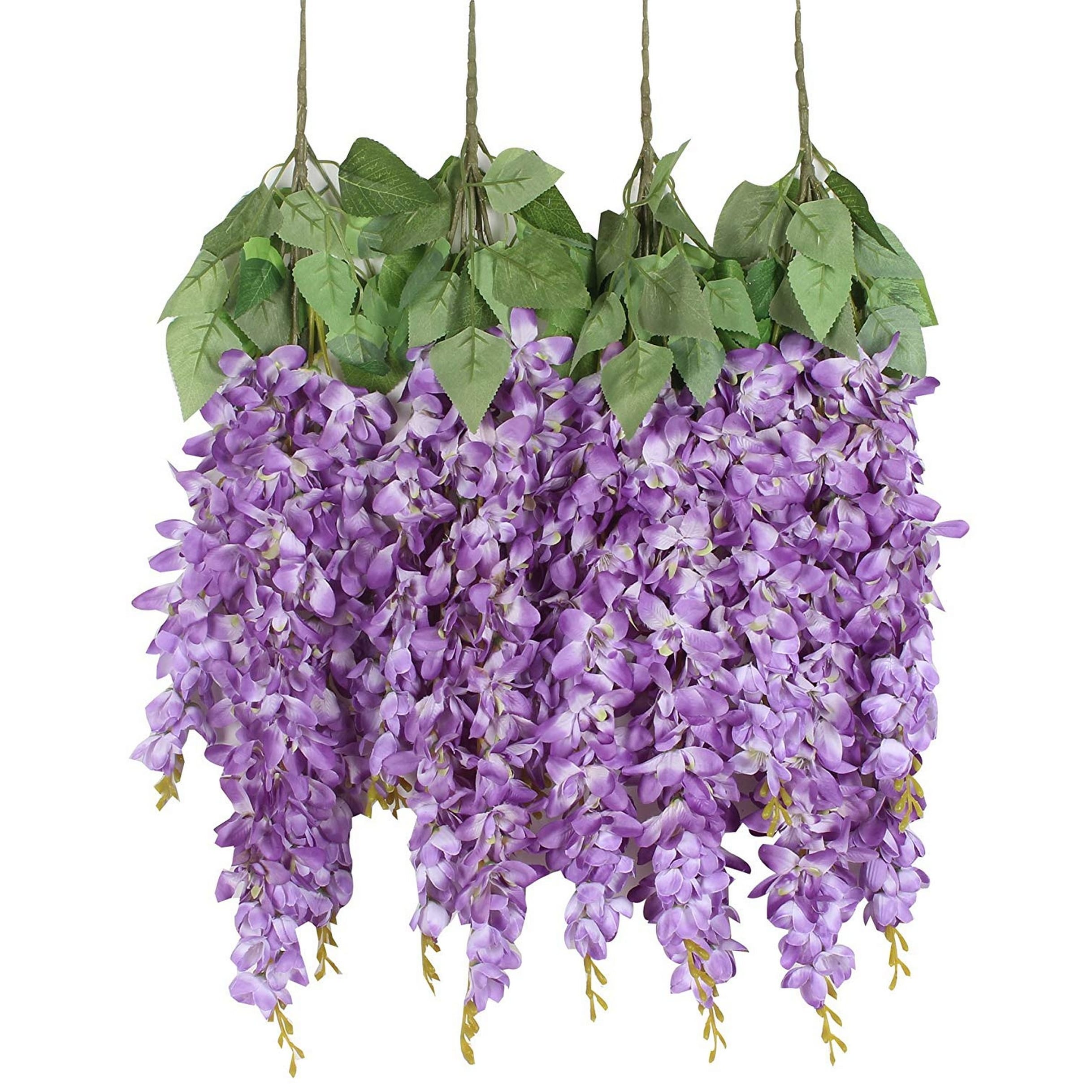 Висячие комнатные растения. Цветочная лоза глициния. Висячие цветы. Висячие цветы. Парк цветов асикага на острове хонсю, япония.