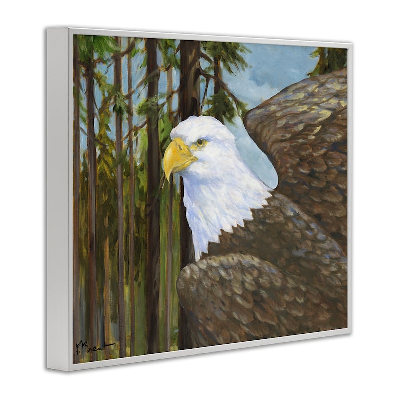 Stupell Woodland Eagle's View Framed Giclee Art Design By Paul Brent