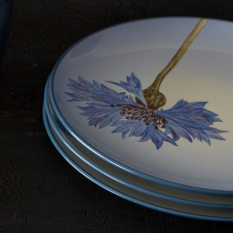 Noritake Colorwave Set Of 4 Floral Accent Plates, 8-1/4"