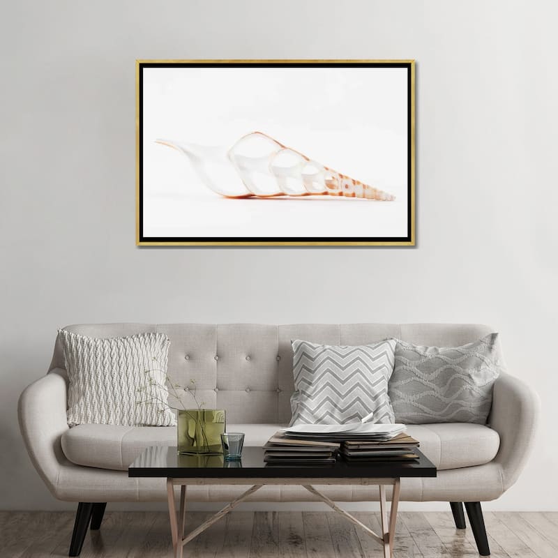 iCanvas "Beautiful Cut Tibia Shell II" by Philippe Hugonnard Framed