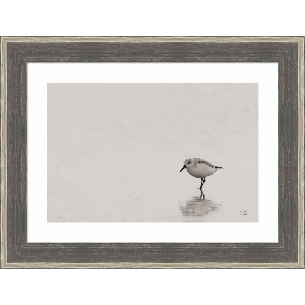 Tybee Island Sanderling by Nathan Larson Wood Framed Wall Art Print