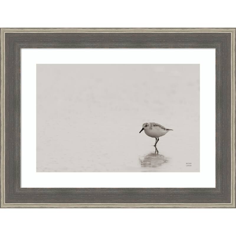 Tybee Island Sanderling by Nathan Larson Wood Framed Wall Art Print