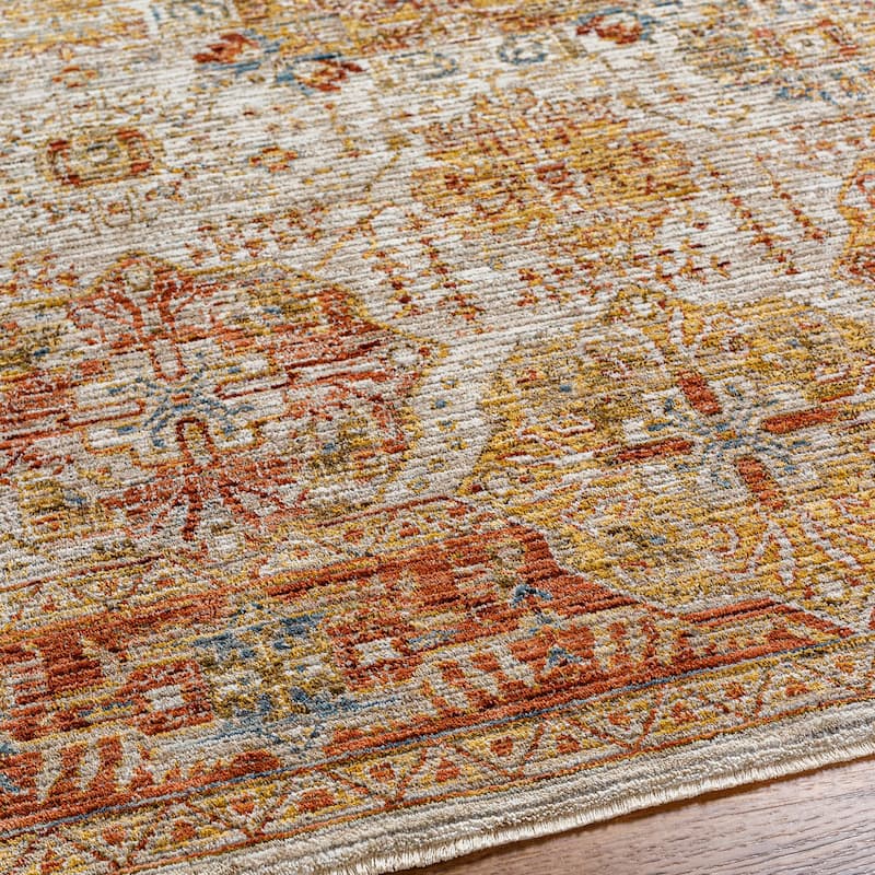 Aiyla Traditional Medallion Area Rug