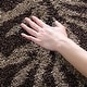 preview thumbnail 3 of 35, SAFAVIEH Florida Shag Seeta Floral Area 1.2-inch Thick Rug