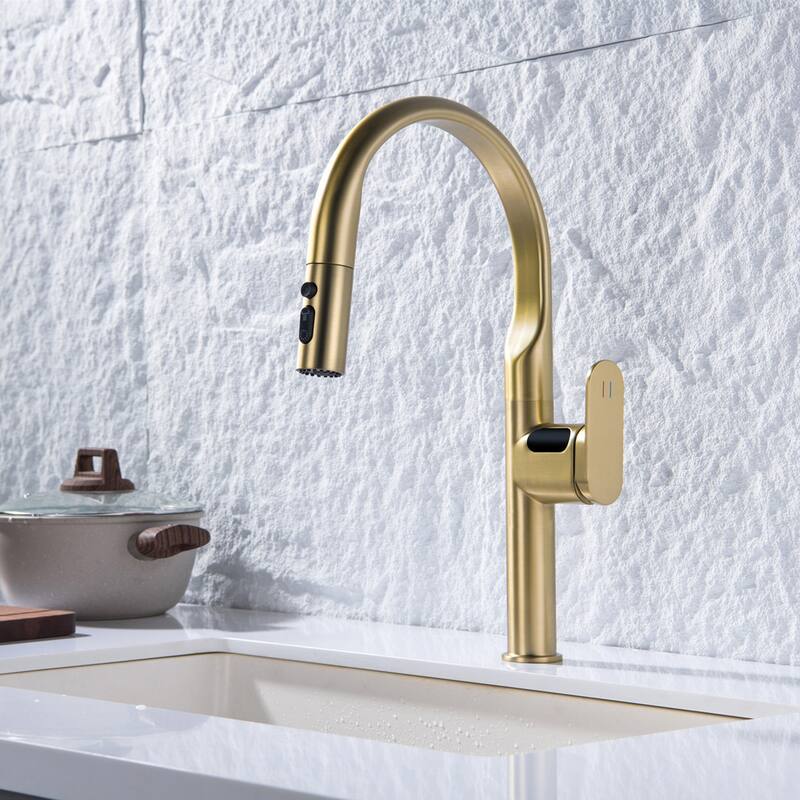 Single Handle Kitchen Sink Faucet with Pull Down Sprayer Brass Pull Out Kitchen Vanity Faucets with Temperature Display
