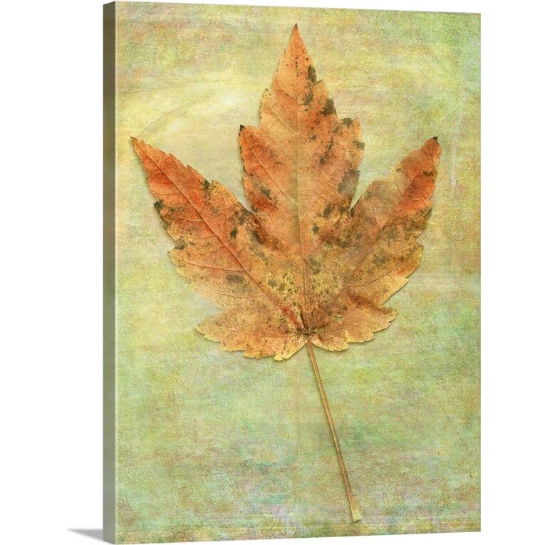 "Maple Leaf" Canvas Wall Art