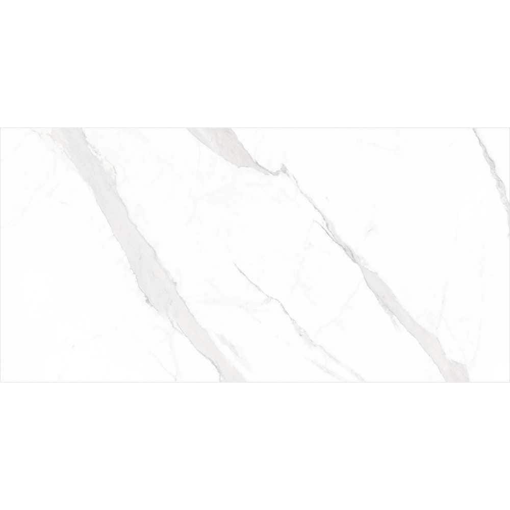 Delaney 24x48 Blanco Polished Porcelain Tile - Floor & Wall - Large Format