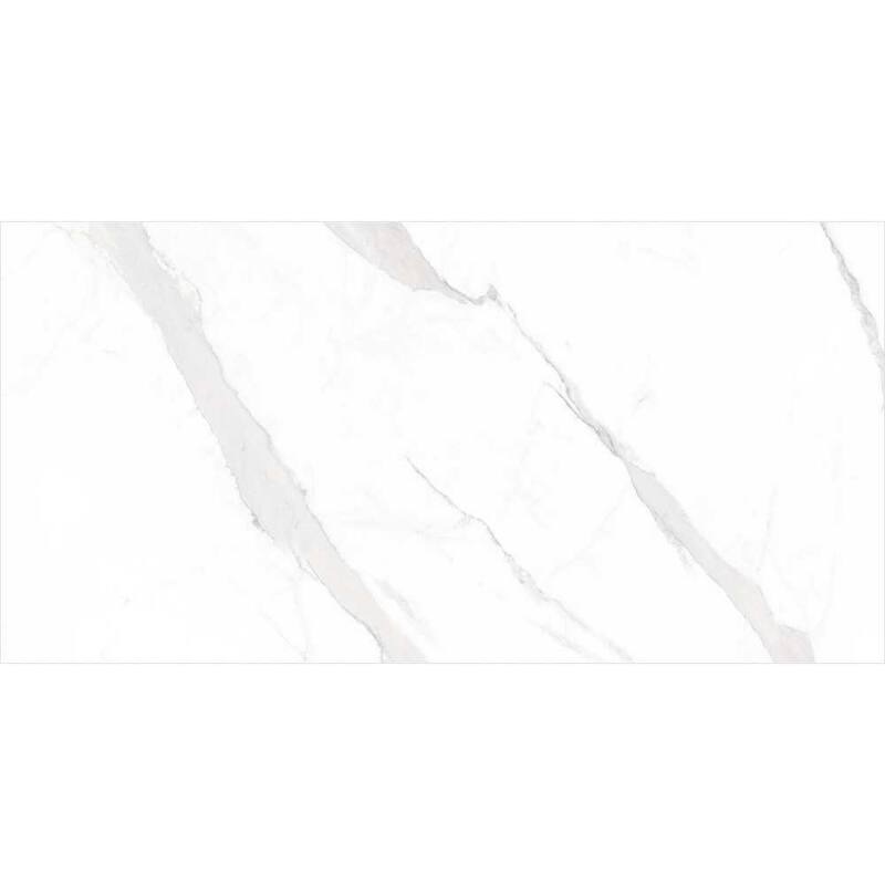 The Tile Life Delaney 24x48 Blanco Marble Look Porcelain Floor & Wall Tile
