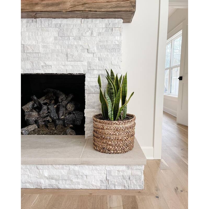 38-inch Sansevieria Artificial Plant - Green