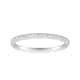 Option White