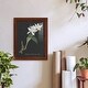 preview thumbnail 33 of 118, Orchid on Slate III -Framed Print w/glass-Cherry Red