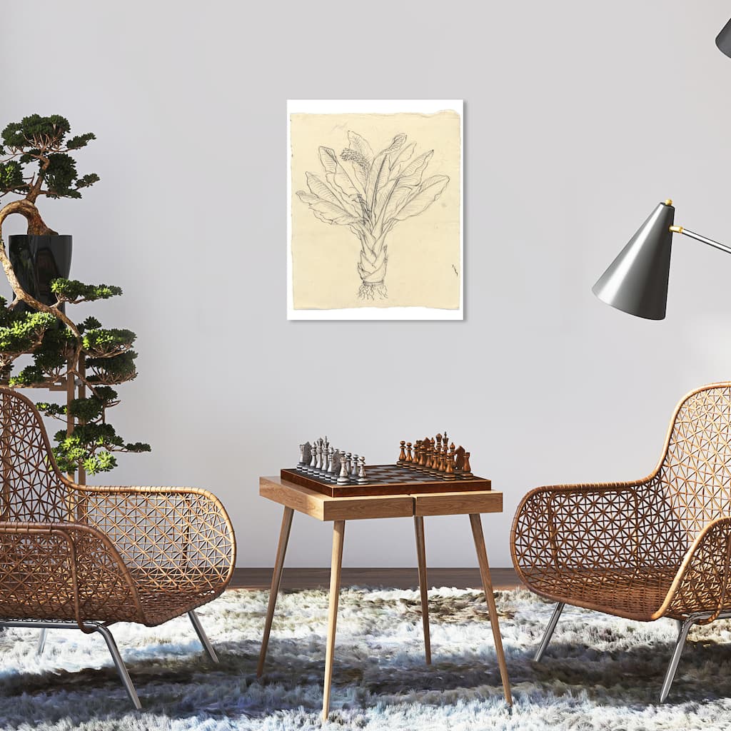 Wynwood Studio Canvas Floral and Botanical Sketch of a Leafy Green Black and Cream White Traditional Wall Art Canvas Print