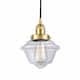 Option Satin Gold / Clear