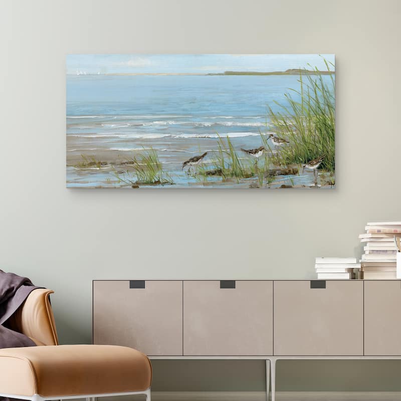 Sandpiper Beach by Sally Swatland Canvas Art Print