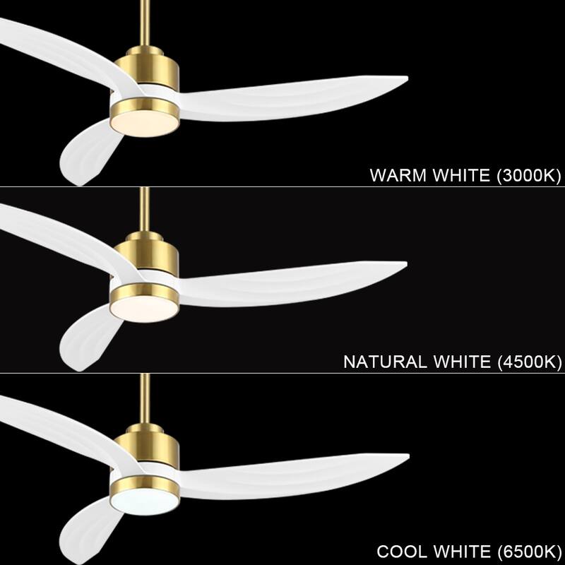 WINGBO 64-inch 3-Blades Indoor Celiing Fan with LED Light, White