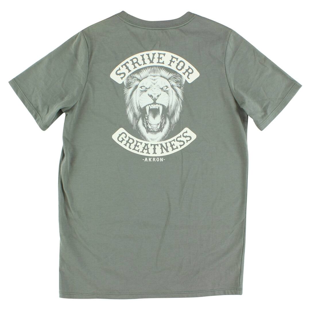 lebron shirt lion