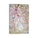 preview thumbnail 1 of 3, iCanvas "Hanging Branch Of Japanese Blossoms" by Cathy Jacobs Canvas Print