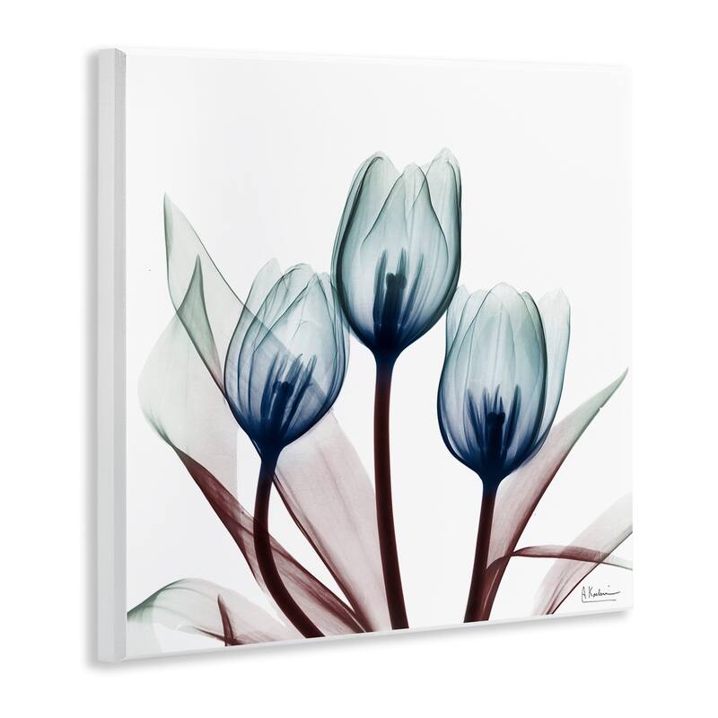 Stupell Chic Blue Translucent Tulips Wall Plaque Art Design By Albert Koetsier