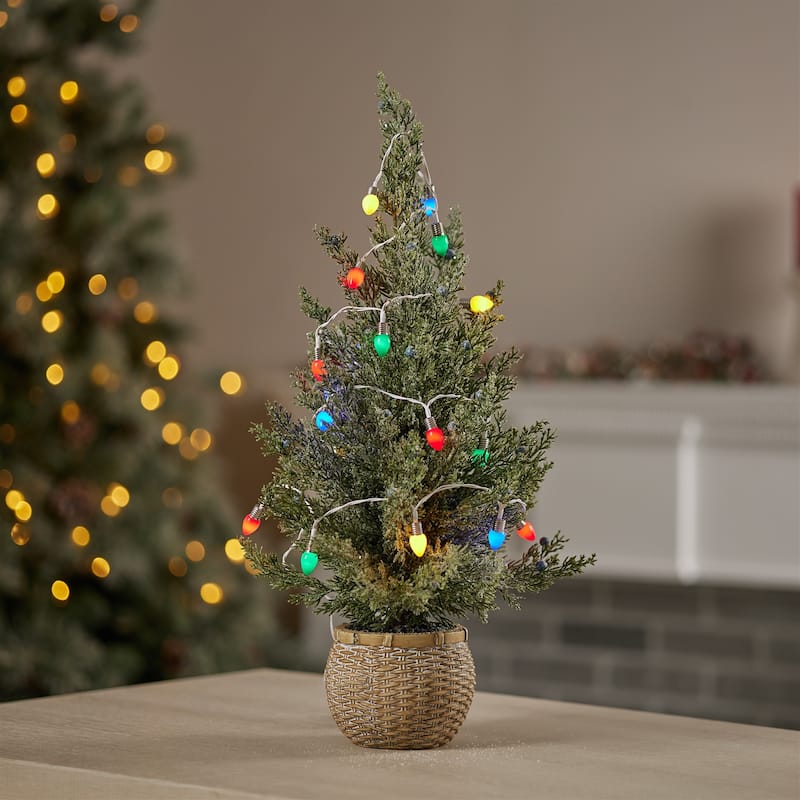 LED Light String (Set of 6)
