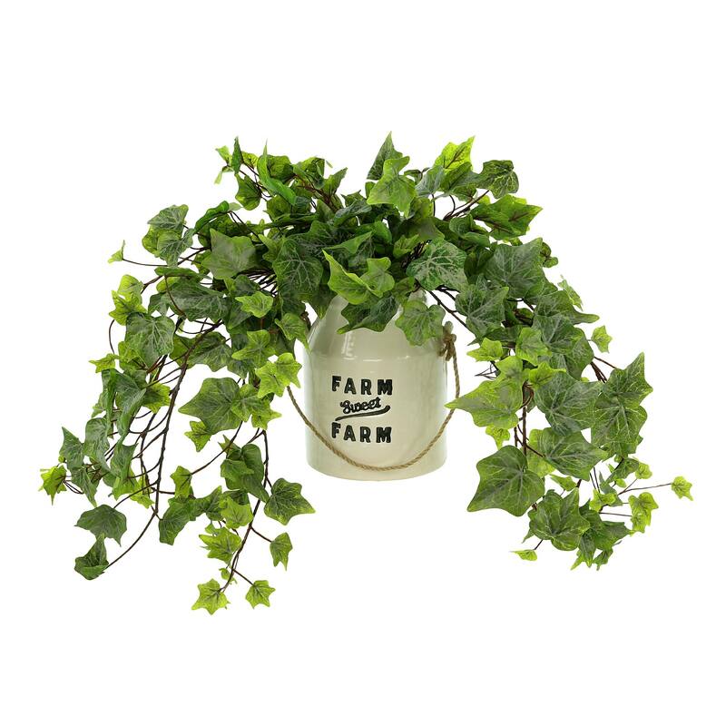 Ivy Arrangement in a Ceramic Pot - Green