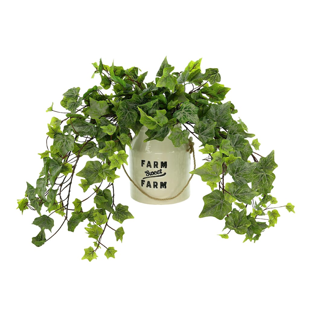 Ivy Arrangement in a Ceramic Pot - Green