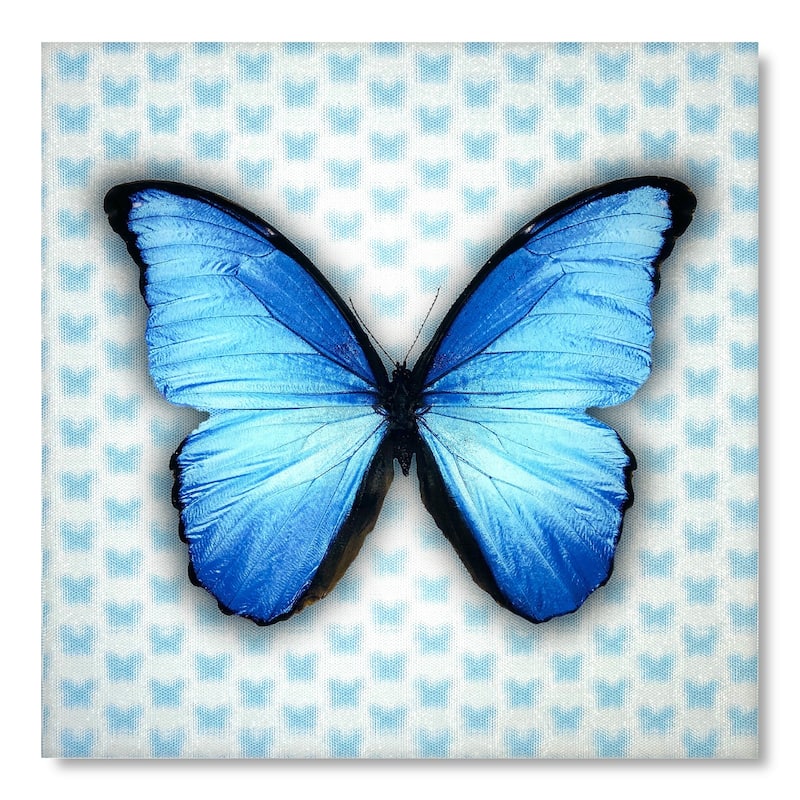 Matashi 5D Multi-Dimensional Wall Art - Custom Made 5D Butterfly Wall Art Print